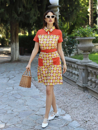 Multicolor 1960er Gänseblümchen Revers Gürtel Kleid